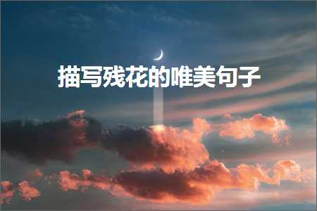 鎻忓啓娈嬭姳鐨勫敮缇庡彞瀛愶紙鏂囨435鏉★級